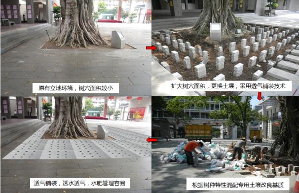 立地环境改造