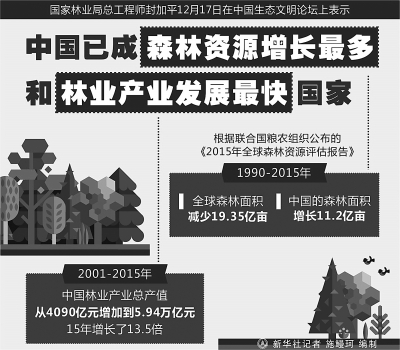 中国已成森林资源增长最多和林业产业发展最快国家