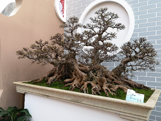 微信图片_20190515095913.jpg