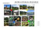 南村镇七星岗森林公园景观资源照片