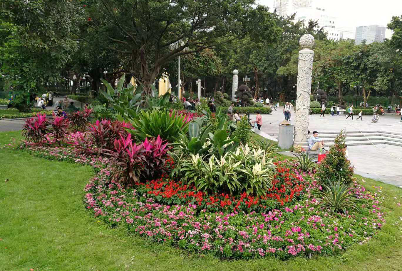 大堂组景-23-广州植物花卉租赁_室内绿植租摆_绿植组景_广州欣怡园艺