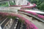 花果山跨线桥