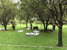 珠江公园桂花园土壤改良