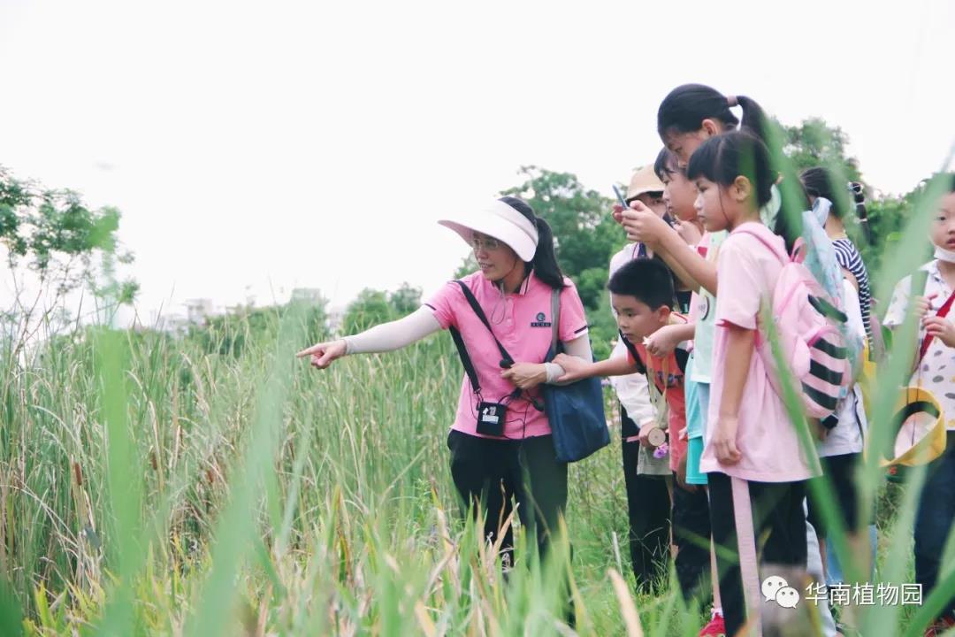 植物园2.jpg