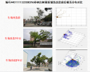硬质铺装改造前后根系分布对比