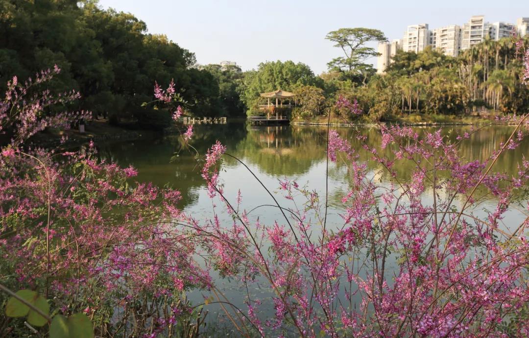 植物园4.jpg