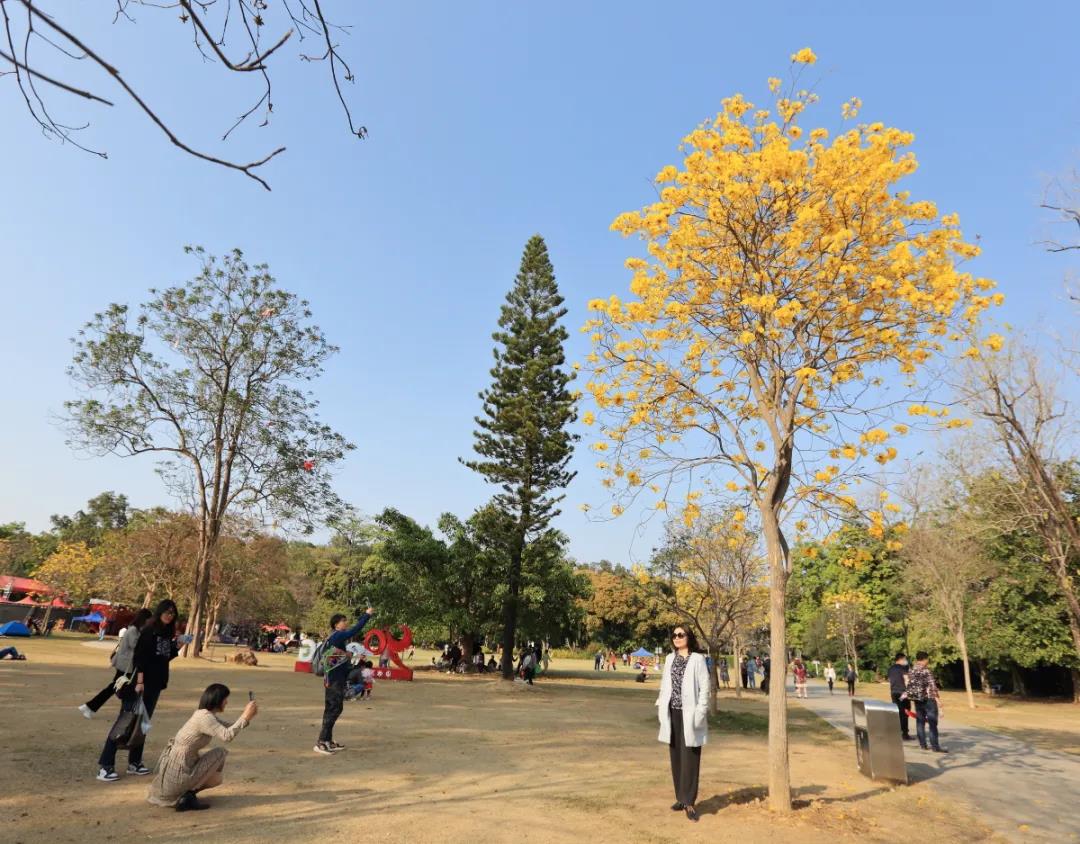 植物园5.jpg