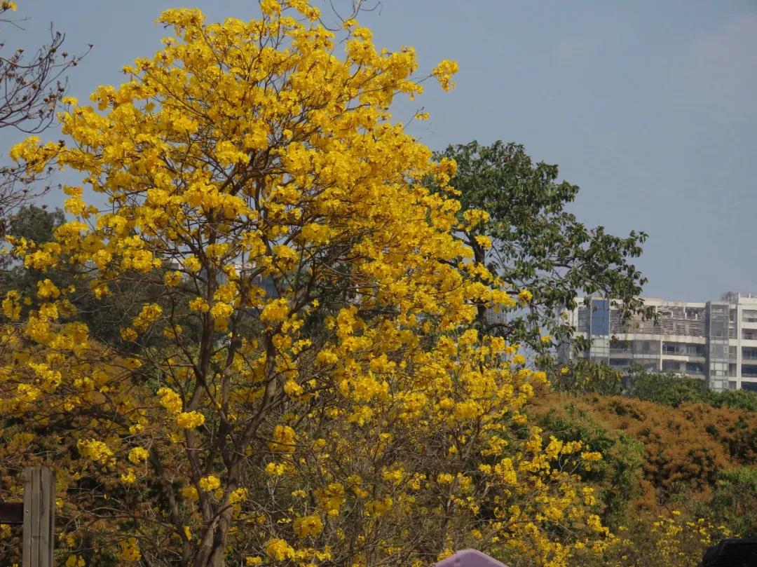 植物园6.jpg