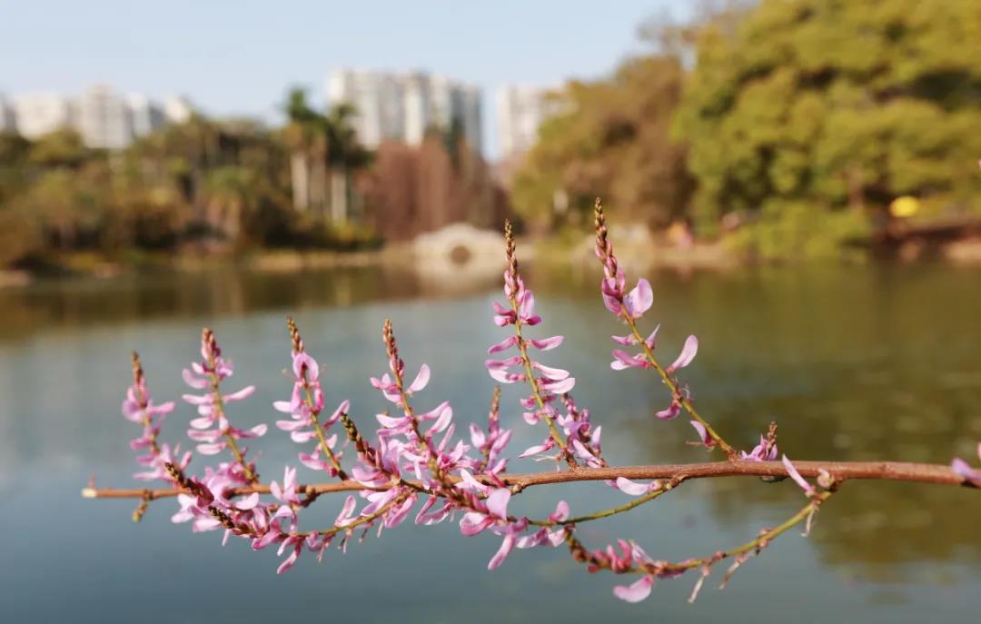 植物园11.jpg