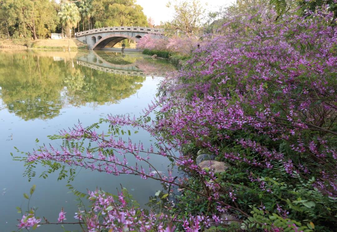植物园13.jpg