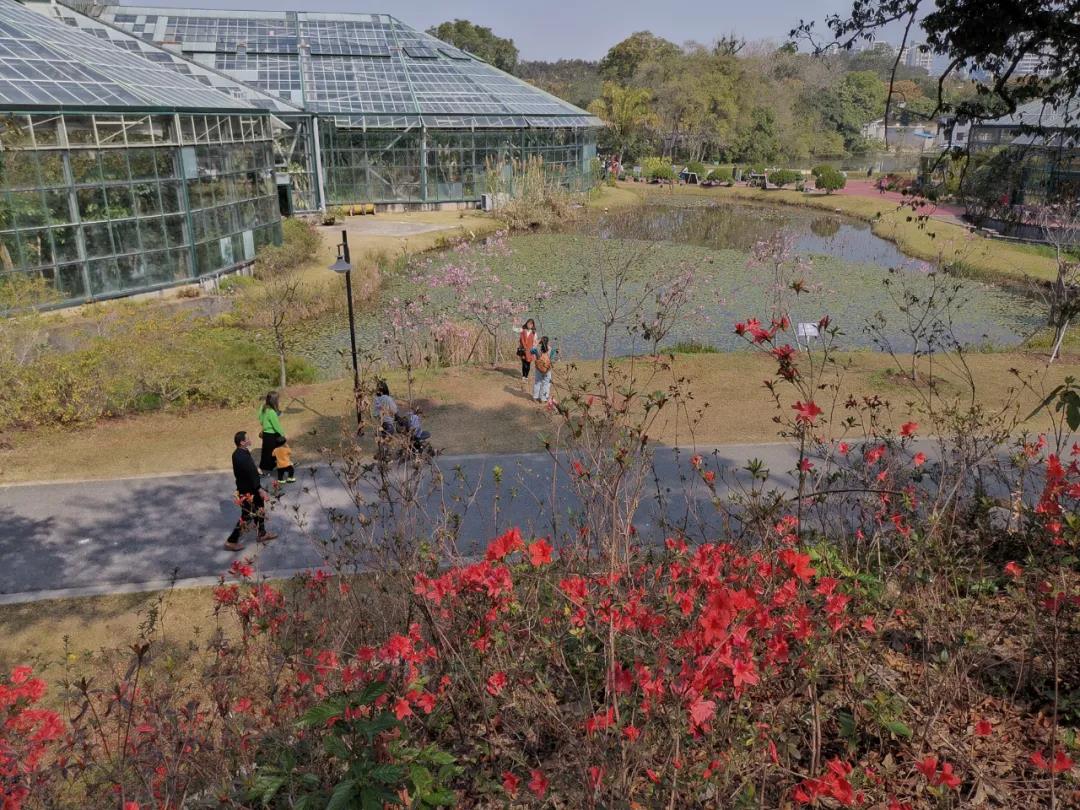 植物园19.jpg