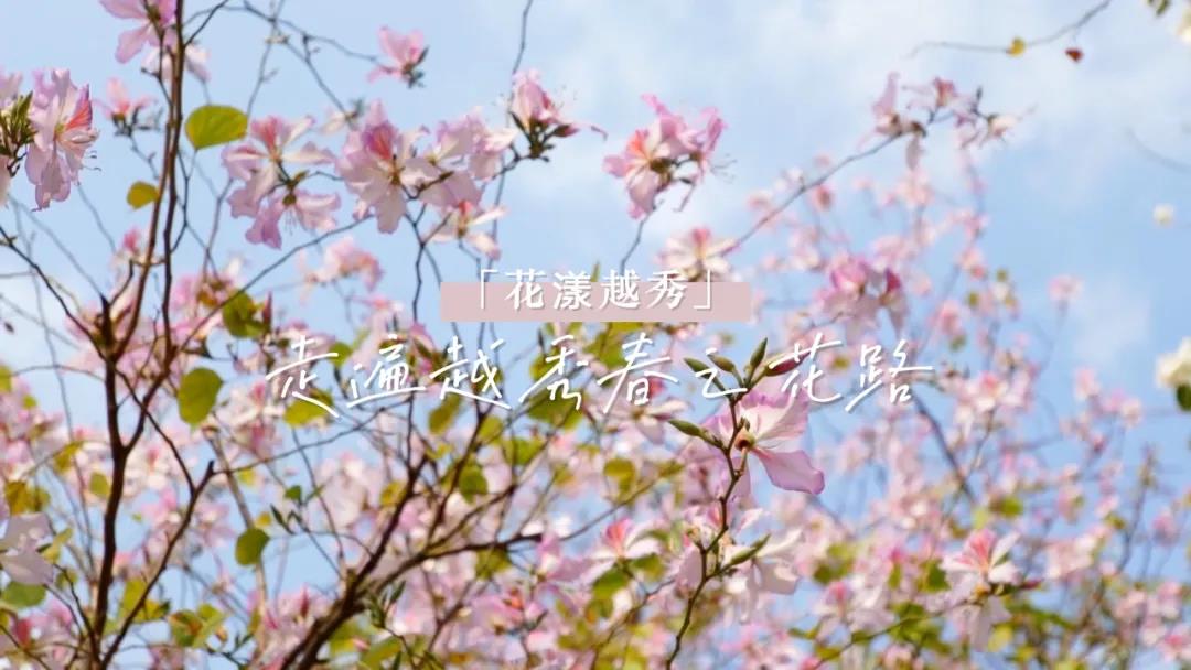 越秀1.jpg