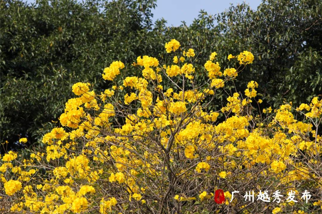 越秀10.jpg