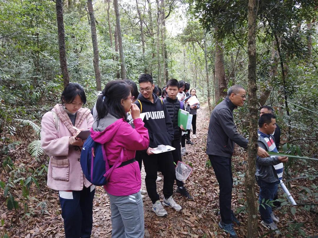 教育路径4.jpg