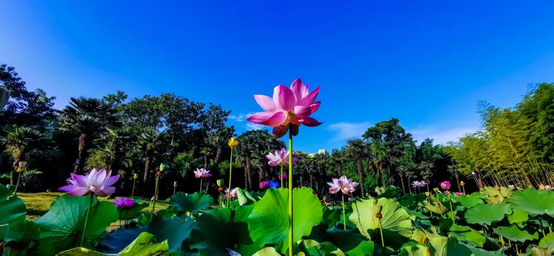 上海10.jpg