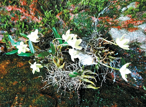 智慧1.png