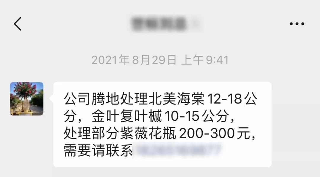 品种3.jpg