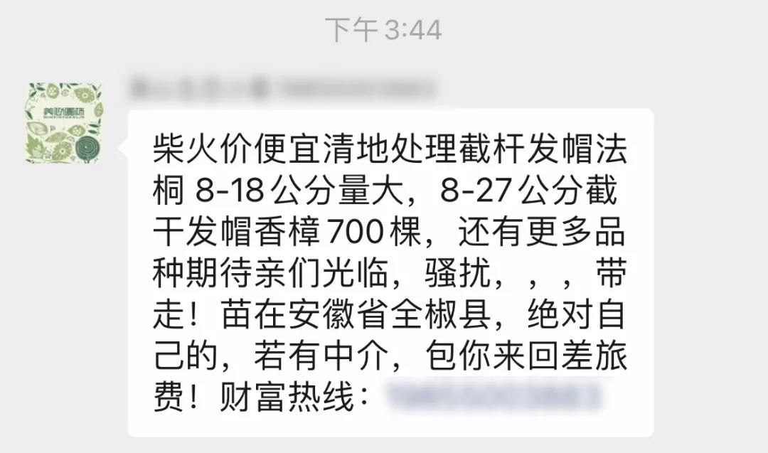 品种4.jpg