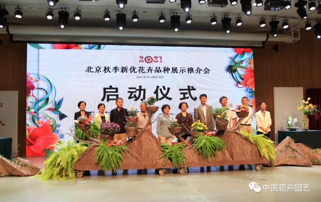 花卉1.jpg