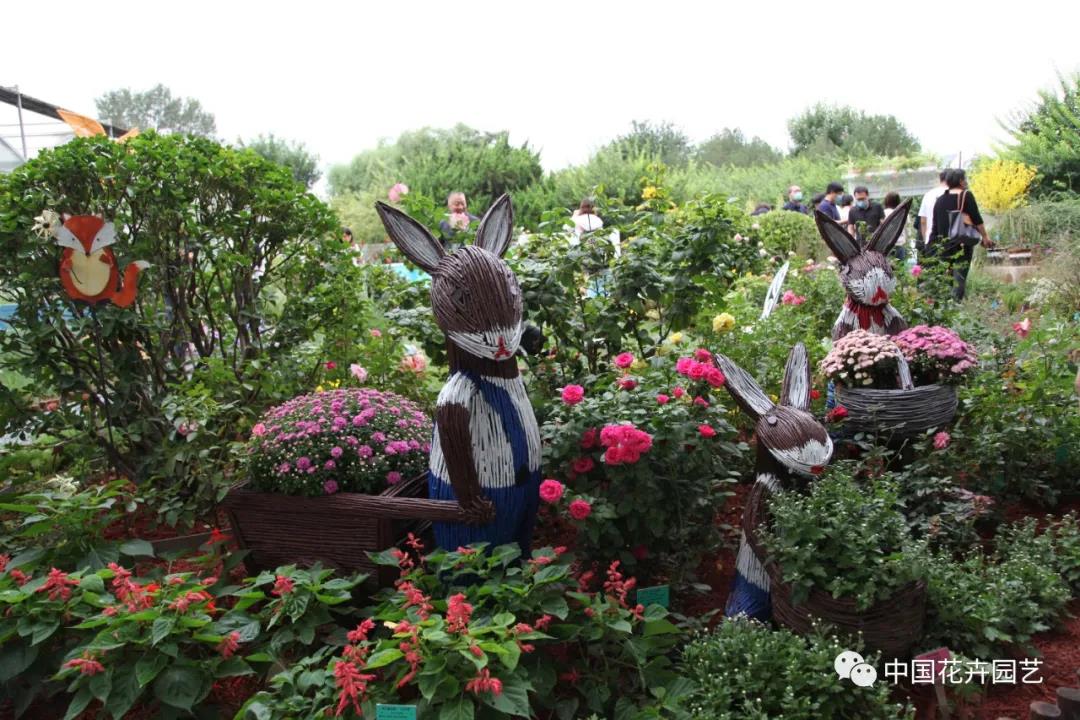花卉8.jpg