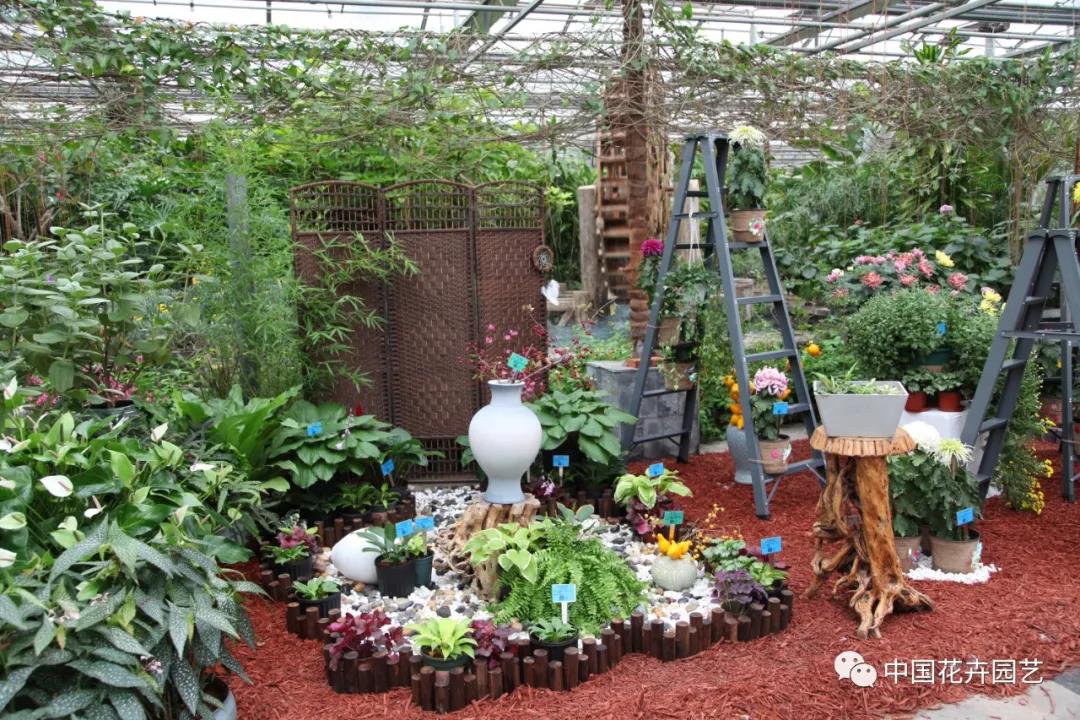 花卉18.jpg
