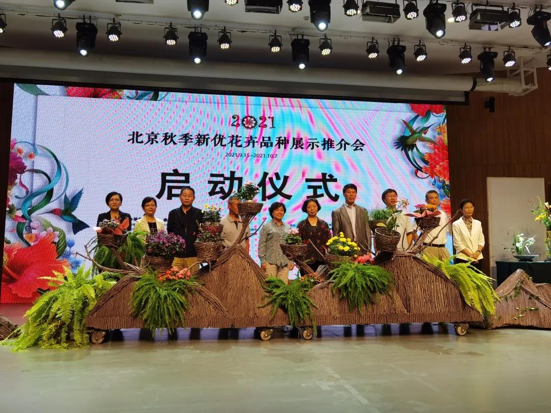 北京1.jpg