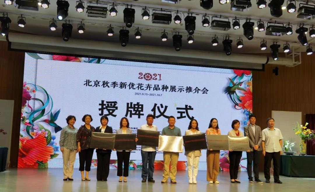 北京2.jpg