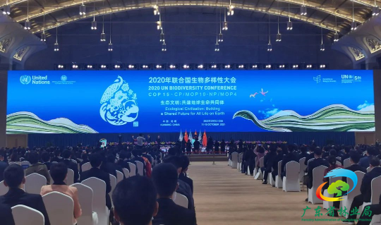 广东1.png