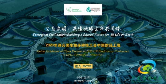 广东2.png