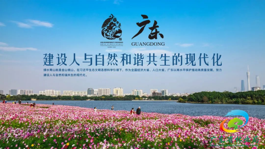 广东3.png