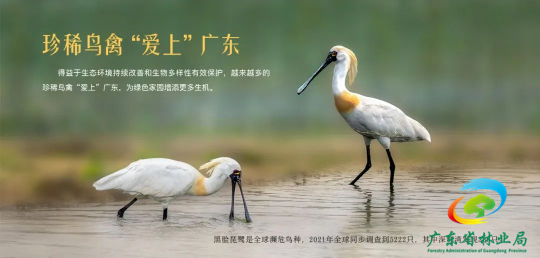 广东5.png