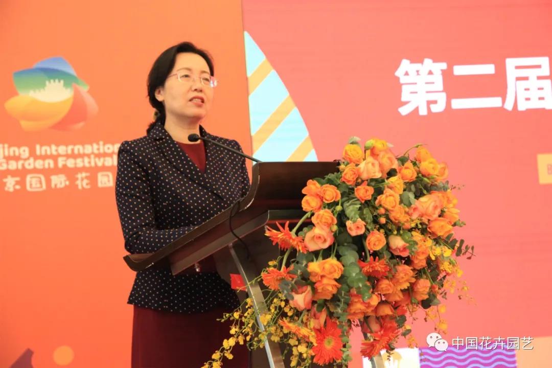 园林4.jpg