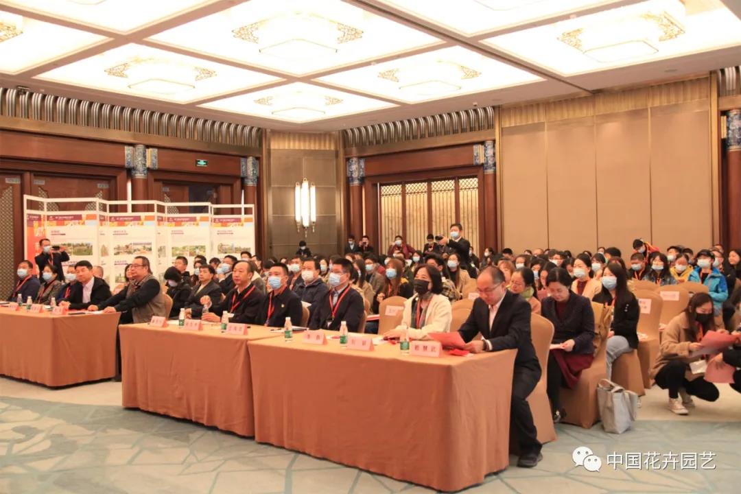 园林13.jpg