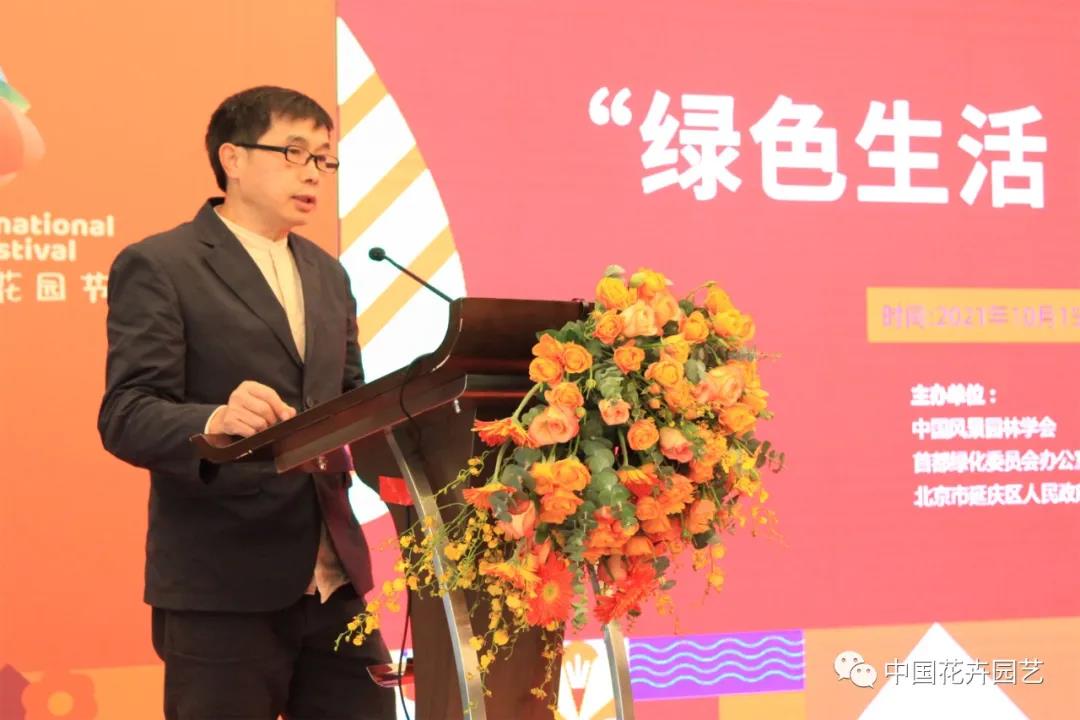 园林14.jpg