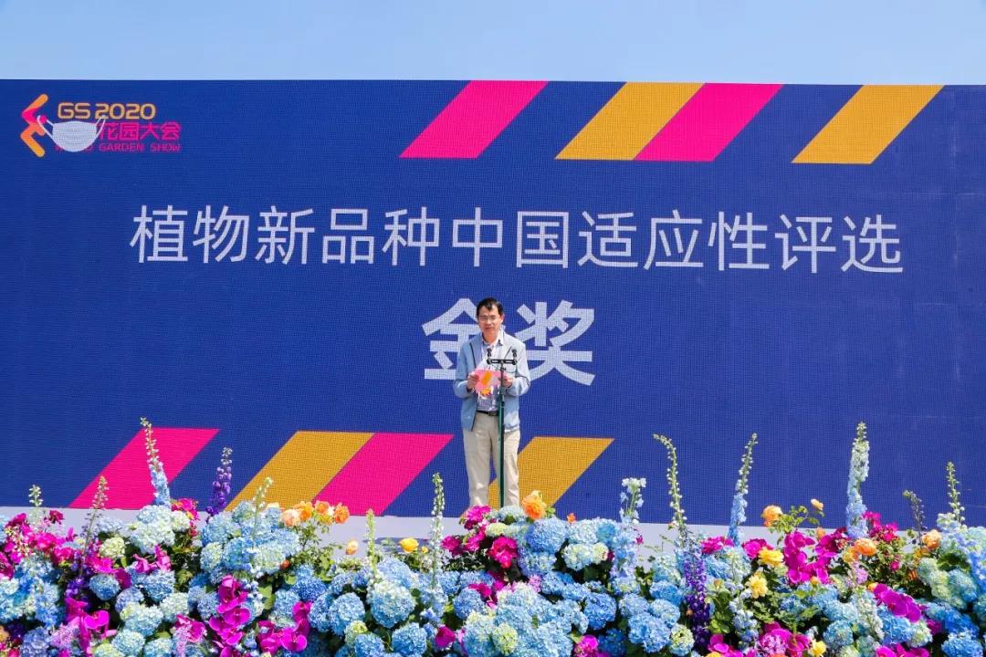 花园8.jpg