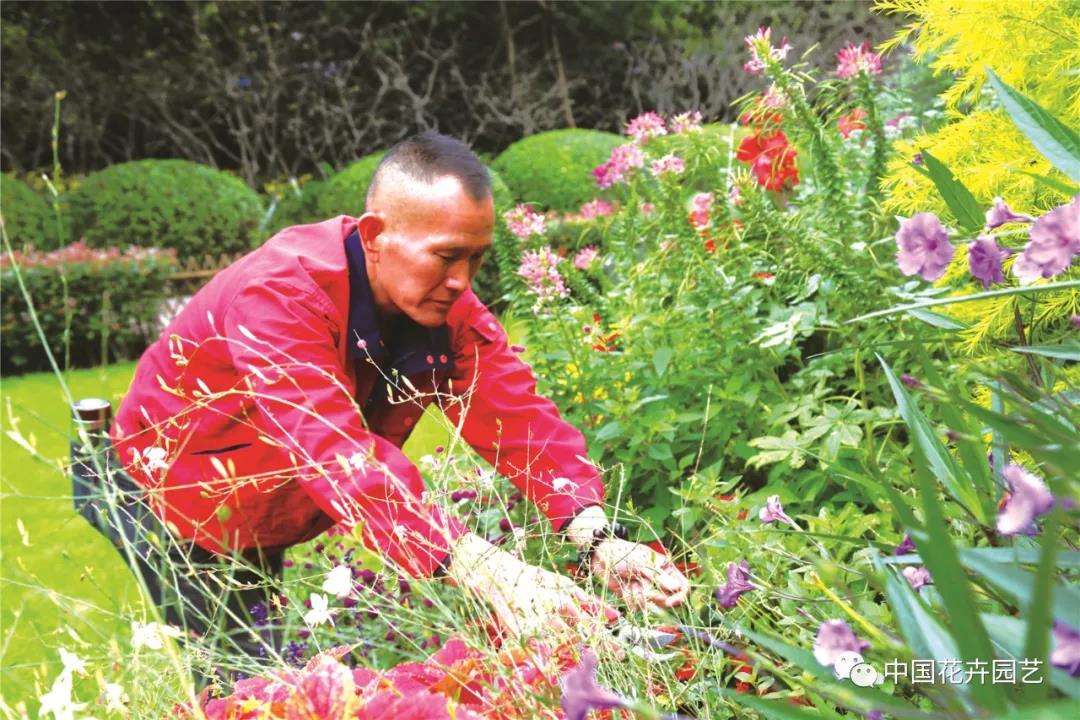 花镜2.jpg