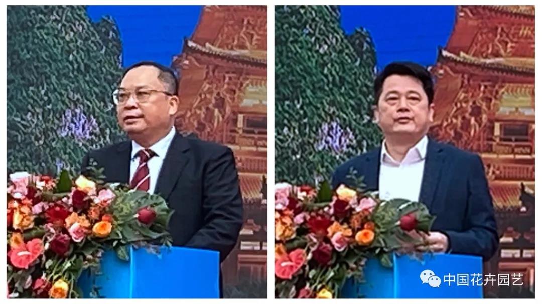 广西4.jpg