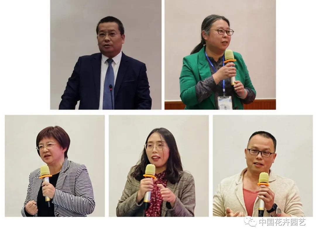 广西8.jpg