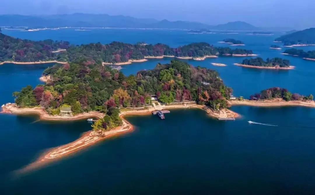 红叶5.jpg