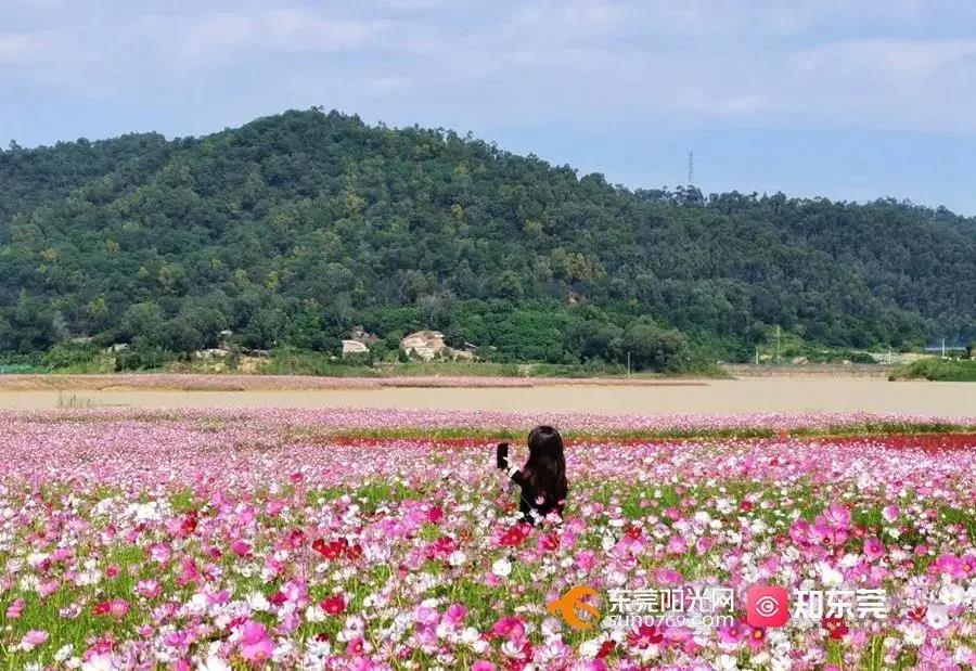 东莞1.jpg