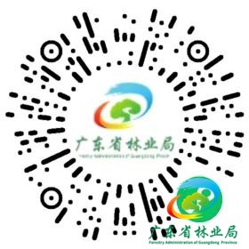 识别2.jpg